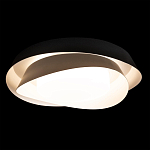 Потолочный светильник круглый черного цвета из металла Vita Cuna варинант исполнения - 1 | Loft Concept в Краснодаре