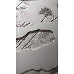 Панно Seperate варинант исполнения - 2 | Loft Concept в Краснодаре