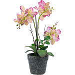 Декоративный искусственное растение Pink orchid варинант исполнения - 5 | Loft Concept в Краснодаре