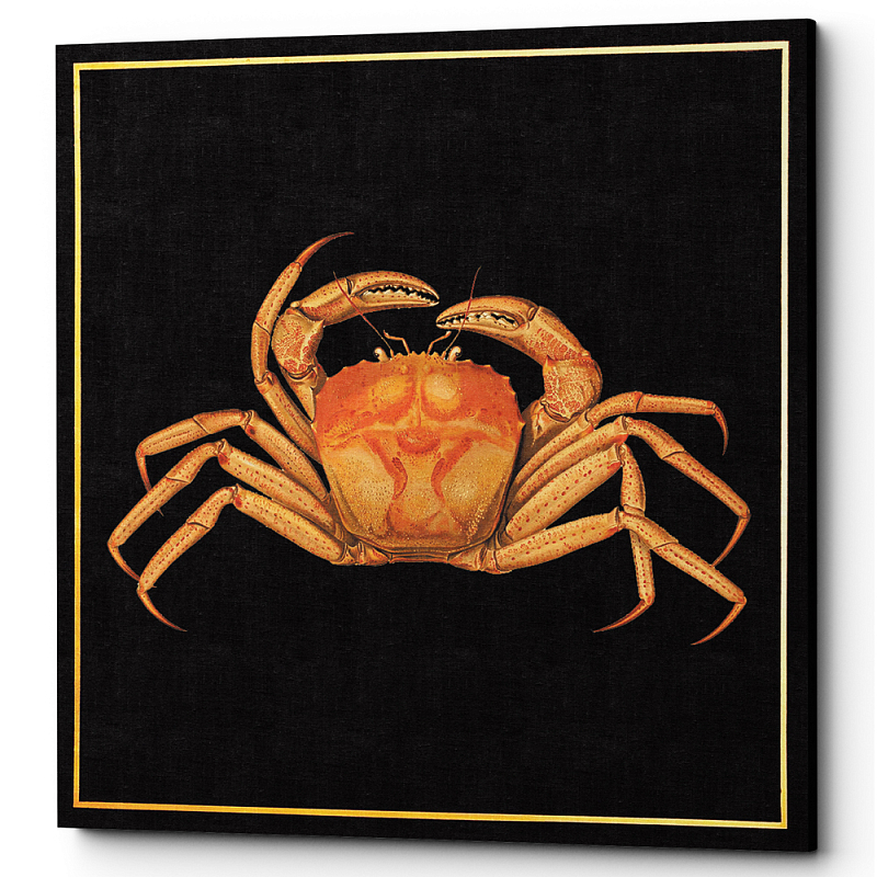 Постер Running Crab Poster Черный Оранжевый в Краснодаре | Loft Concept 