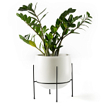 Кашпо из керамики Elevated Planters 32 варинант исполнения - 11 | Loft Concept в Краснодаре