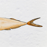 Плитка с узором Рыба Русалка варинант исполнения - 6 | Loft Concept в Краснодаре