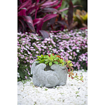 Кашпо A collection of baby rabbits варинант исполнения - 9 | Loft Concept в Краснодаре