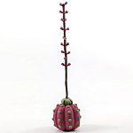 Статуэтка тропический фрукт Pandora Tropical Fruit Tall Pink Green варинант исполнения - 3 | Loft Concept в Краснодаре