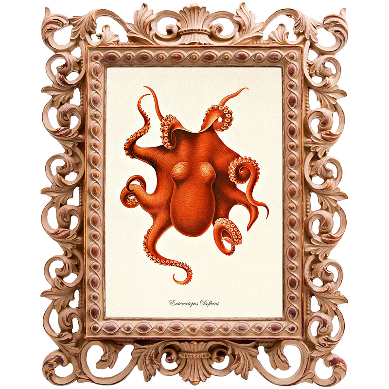 Постер Red Octopus Poster Бежевый Красный в Краснодаре | Loft Concept 