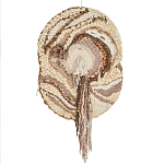 Овальный Современный Гобелен Абстракция в бежевых тонах Shallow варинант исполнения - 7 | Loft Concept в Краснодаре