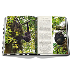 Подарочнный коллекционный фото альбом AFRICAN ADVENTURES NEW 2023 ASSOULINE HC UNBELIEVABLE ILLUSTRATIONS Safari варинант исполнения - 8 | Loft Concept в Краснодаре