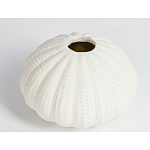 Подсвечник круглый белого цвета SeaFlowers варинант исполнения - 2 | Loft Concept в Краснодаре