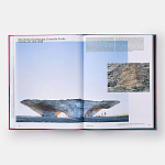 Radical Architecture of the Future варинант исполнения - 4 | Loft Concept в Краснодаре