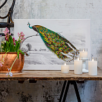 Постер на холсте с изображением павлина на ветке Majestic Peacock on a Tree Poster варинант исполнения - 2 | Loft Concept в Краснодаре