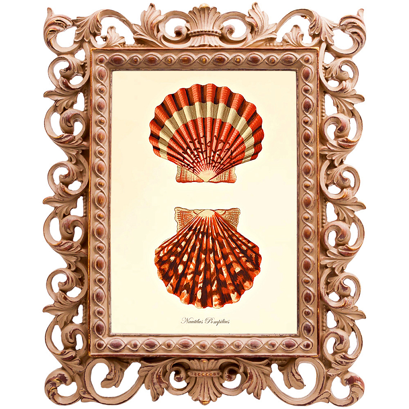 Постер Red Scallop Poster Бежевый Красный в Краснодаре | Loft Concept 