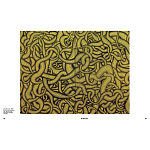 Редкое подарочное издание Yayoi Kusama: 1945 to Now варинант исполнения - 7 | Loft Concept в Краснодаре