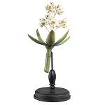 Статуэтка Wonderboom варинант исполнения - 1 | Loft Concept в Краснодаре