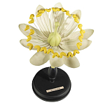 Статуэтка Tilia варинант исполнения - 1 | Loft Concept в Краснодаре