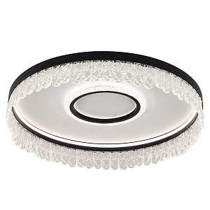 Потолочный светодиодный светильник Pettico Black Duo