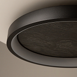 Потолочный светильник Orign 3000К варинант исполнения - 5 | Loft Concept в Краснодаре