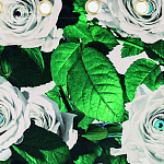 Штора Seletti Roses варинант исполнения - 1 | Loft Concept в Краснодаре