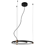 Люстра подвесная светодиодная черный металл Ring Horizontal варинант исполнения - 2 | Loft Concept в Краснодаре