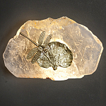 Бра Декоративный лист с стрекозой Glacial Fragment варинант исполнения - 2 | Loft Concept в Краснодаре