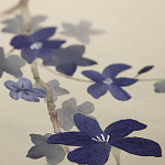 Обои ручная роспись Cherry Tree Original colourway on Stone Ochre dyed silk варинант исполнения - 3 | Loft Concept в Краснодаре