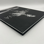 Коллекционная редкая книга Madonna: Nudes + by Martin H.M. Schreiber 2017 Букинистика варинант исполнения - 4 | Loft Concept в Краснодаре