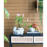 Кашпо A collection of baby rabbits варинант исполнения - 5 | Loft Concept в Краснодаре