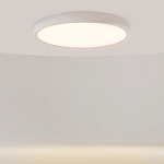 Потолочный светильник Incognito 2700-4000К 46Вт варинант исполнения - 2 | Loft Concept в Краснодаре