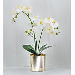 Декоративный искусственное растение Lush Orchid варинант исполнения - 2 | Loft Concept в Краснодаре