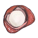 Сет из 4-х тарелок «QARTZITE» варинант исполнения - 5 | Loft Concept в Краснодаре