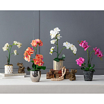 Декоративный искусственное растение Pink orchid варинант исполнения - 11 | Loft Concept в Краснодаре