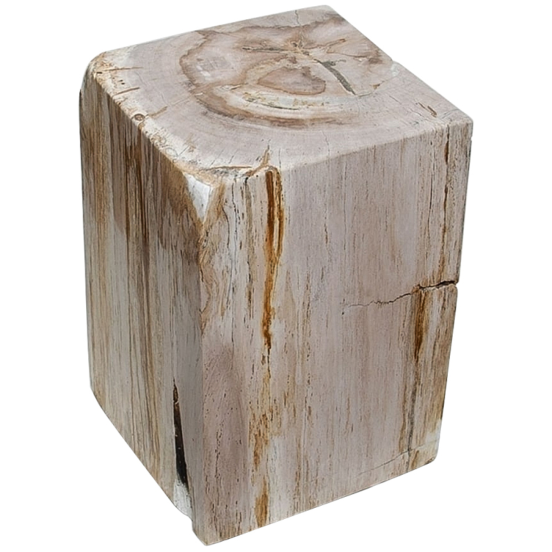 Стул из окаменелого дерева Petrified Wood Square Бежевый Стул из окаменелого дерева Petrified Wood Square Бежевый в Краснодаре | Loft Concept