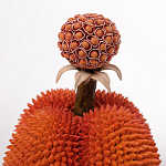 Статуэтка тропический фрукт Tropical Fruit Orange Prickly Berry варинант исполнения - 2 | Loft Concept в Краснодаре