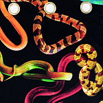 Штора Seletti Snakes Black варинант исполнения - 1 | Loft Concept в Краснодаре