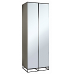 Двухдверный шкаф с зеркальными дверцами Strict Lines варинант исполнения - 1 | Loft Concept в Краснодаре