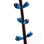 Синий экзотический фрукт статуэтка для интерьераTropical Fruit Pandora 9 варинант исполнения - 2 | Loft Concept в Краснодаре