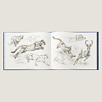 Лимитированная подарочная книга HERMES Fierce and Fragile book, English version варинант исполнения - 4 | Loft Concept в Краснодаре