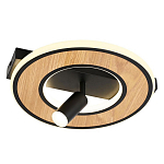 Потолочный светильник круглый GAVIN WOOD варинант исполнения - 1 | Loft Concept в Краснодаре