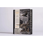 Книга Fantastic Gustave Dore варинант исполнения - 3 | Loft Concept в Краснодаре