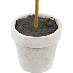 Декоративный искусственное растение Boxwood One варинант исполнения - 3 | Loft Concept в Краснодаре