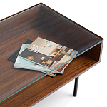 Журнальный стол с витриной Alard Coffee Table варинант исполнения - 4 | Loft Concept в Краснодаре