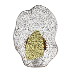 Бра с рельефным волнообразным стеклянным плафоном и вставкой из мрамора Liquid Stone варинант исполнения - 1 | Loft Concept в Краснодаре