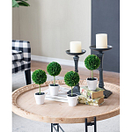 Декоративный искусственное растение Boxwood One варинант исполнения - 7 | Loft Concept в Краснодаре