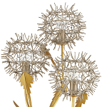 Торшер в виде цветка одуванчика Hanging Dandelion варинант исполнения - 1 | Loft Concept в Краснодаре