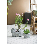 Кашпо A collection of baby rabbits варинант исполнения - 4 | Loft Concept в Краснодаре