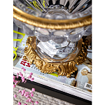 Чаша из прозрачного стекла с бронзовой подставкой и ручками Eden Garden варинант исполнения - 4 | Loft Concept в Краснодаре