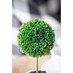 Декоративный искусственное растение Boxwood One варинант исполнения - 8 | Loft Concept в Краснодаре