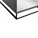 Двухдверный шкаф с зеркальными дверцами Strict Lines варинант исполнения - 4 | Loft Concept в Краснодаре