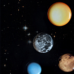 Блюдо Seletti Sun варинант исполнения - 6 | Loft Concept в Краснодаре