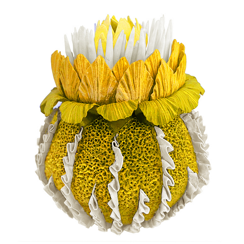 Желтый Экзотический фрукт Yellow Pandora Exotic Fruit  44 Желтый в Краснодаре | Loft Concept 