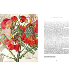 Прекрасно иллюстрированная книга более 100 ботанических произведений Plant Hunters Atlas варинант исполнения - 5 | Loft Concept в Краснодаре